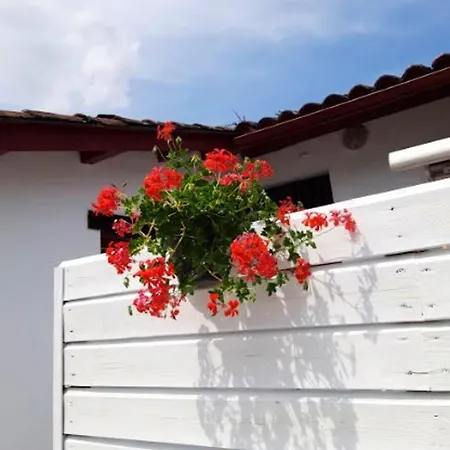 Appartement D'Une Chambre A Saint Pee Sur Nivelle Avec Magnifique Vue Sur La Montagne Jardin Clos Et Wifi *